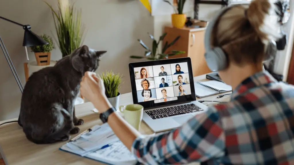 Remote worker on teams with cat